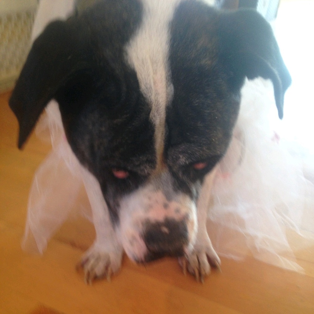 Meet your Posher, Olivia